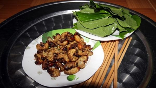 Sùng đất có thể chế biến thành nhiều món như luộc, rang hay băm nhỏ đúc bánh xèo,... nhưng hấp dẫn nhất phải kể tới sùng đất nướng muối ớt. Ảnh: Dân trí