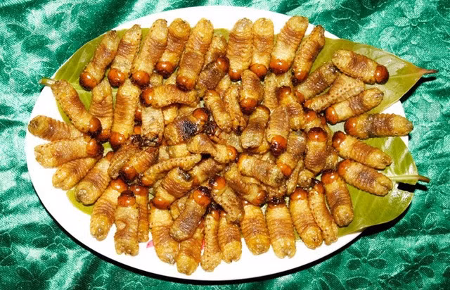 Nhìn bề ngoài, sùng đất dễ khiến ta có cảm giác rùng mình. Nhưng khi thưởng thức nhiều người tấm tắc khen ngon. Ảnh: Dân trí