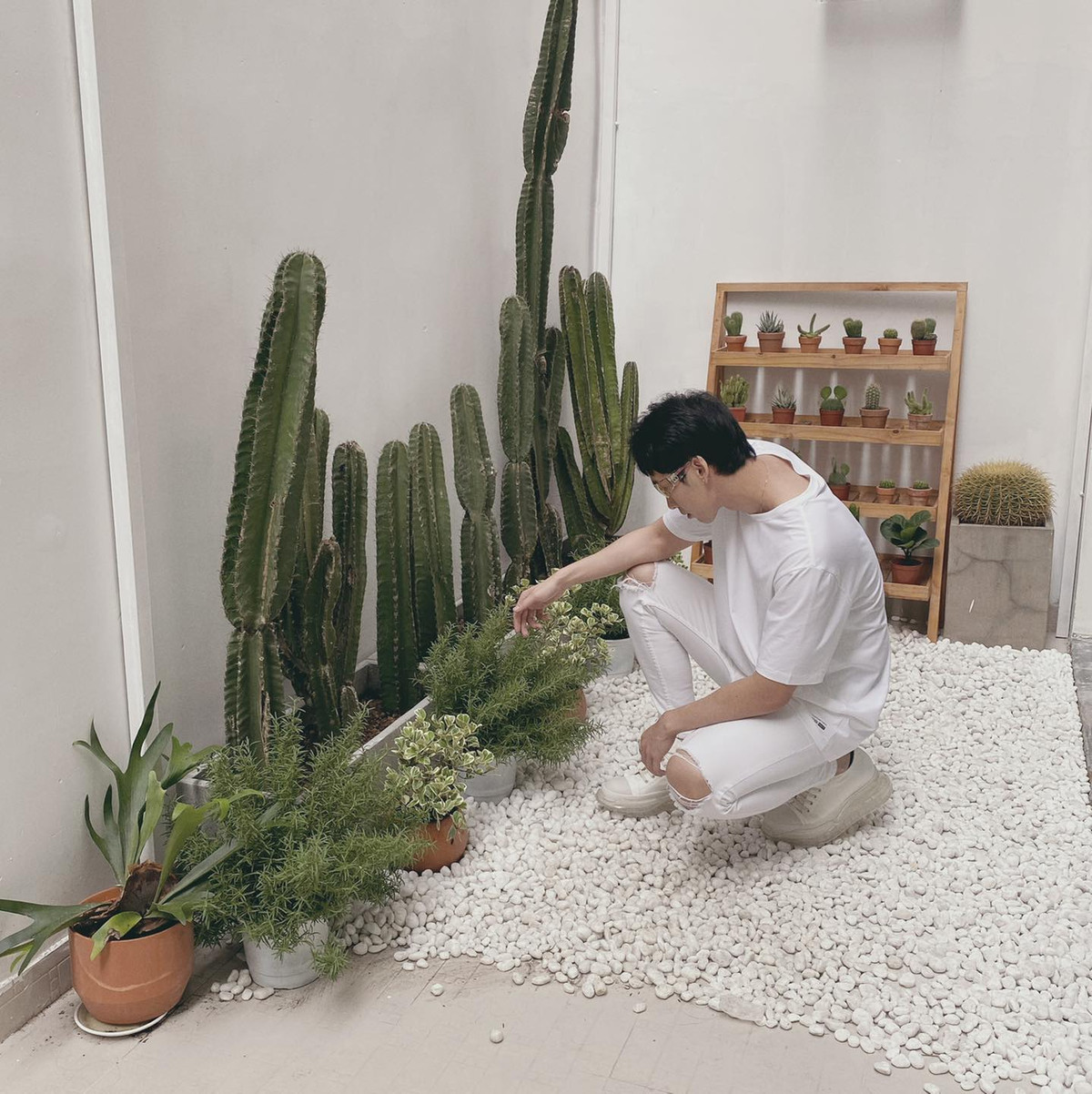 Góc nhỏ ngay lối ra vào được Tuấn Trần trưng bày chậu xương rồng cảnh lớn nhỏ cho căn nhà thêm xinh xắn. Ảnh: FBNV