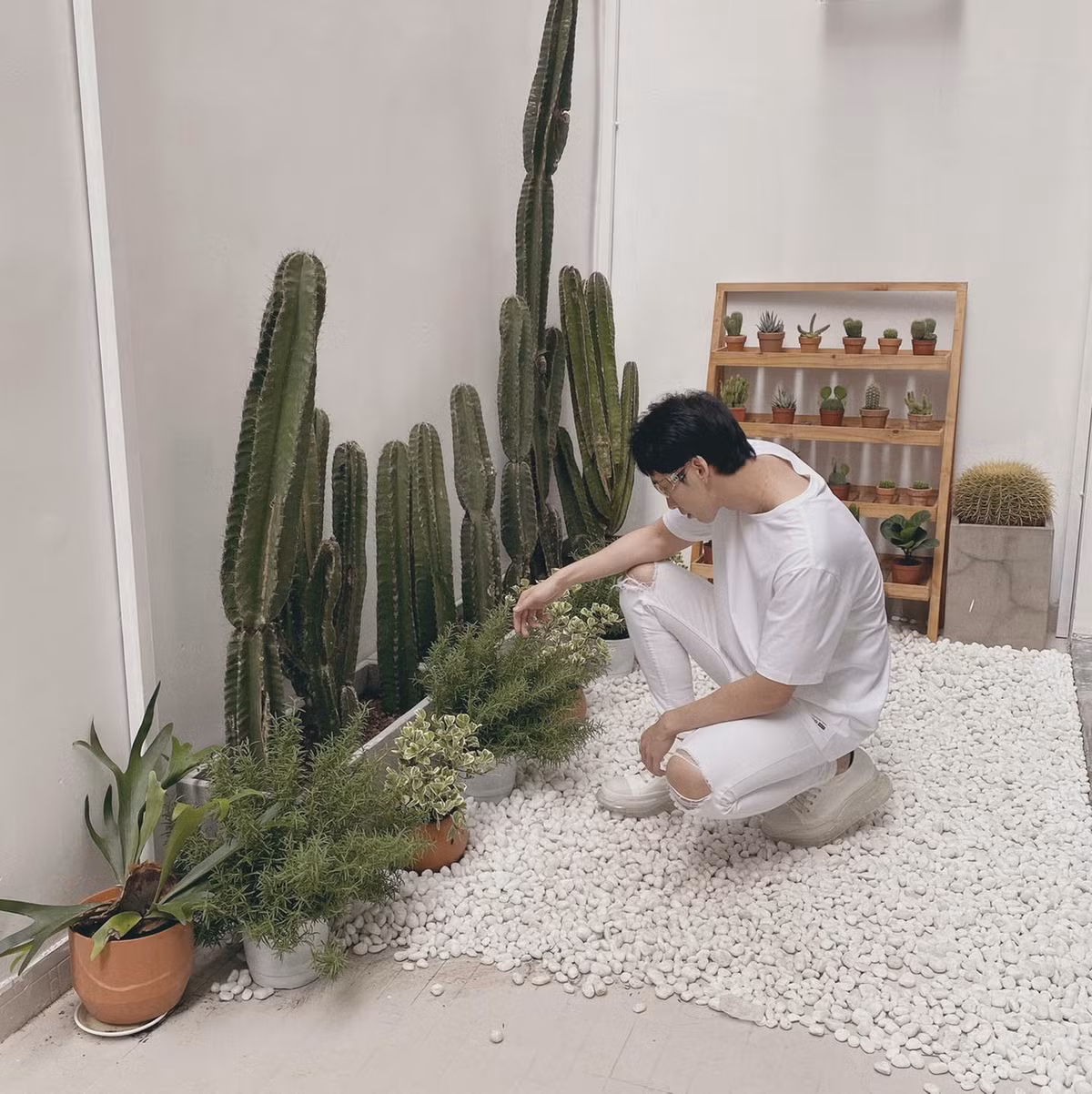 Góc nhỏ ngay lối ra vào được Tuấn Trần trưng bày chậu xương rồng cảnh lớn nhỏ cho căn nhà thêm xinh xắn. Ảnh: FBNV