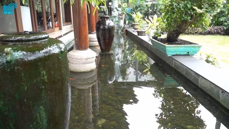 Bao quanh căn biệt thự là vườn cây, ao cá. Ảnh: Internet