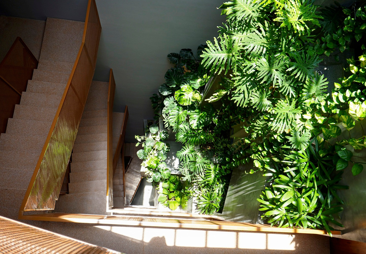 Ngoài vai trò cung cấp ánh sáng và thông gió, giếng trời còn trở thành cửa ngõ khám phá thiên nhiên với mảng thực vật nhiệt đới.