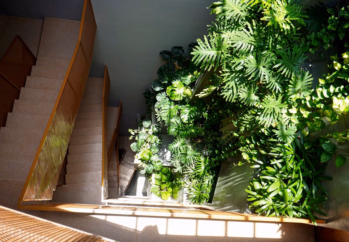 Ngoài vai trò cung cấp ánh sáng và thông gió, giếng trời còn trở thành cửa ngõ khám phá thiên nhiên với mảng thực vật nhiệt đới.