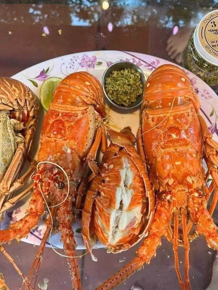 Mặc dù giá đắt nhưng tôm hùm bông là mặt hàng hiếm nên có tiền cũng chưa chắc đã mua được. Ảnh: Facebook