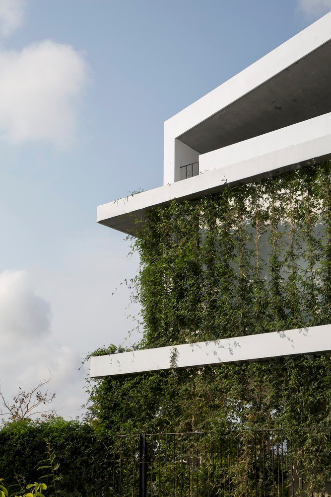 Cây xanh đóng vai trò như một tấm rèm làm dịu đi những tia nắng gay gắt chiếu thẳng vào nhà.