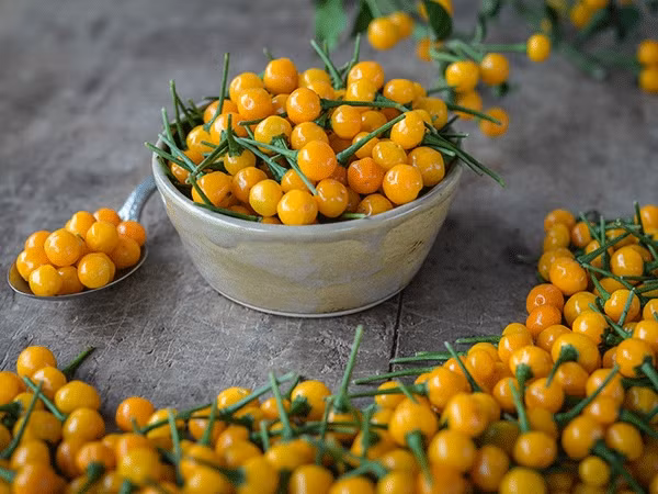 Ớt charapita có vị rất cay, tương tự ớt hiểm nhưng cay hơn rất nhiều. Quả ớt có một cụm hạt ở giữa, chắc, giòn. Ảnh: Getty