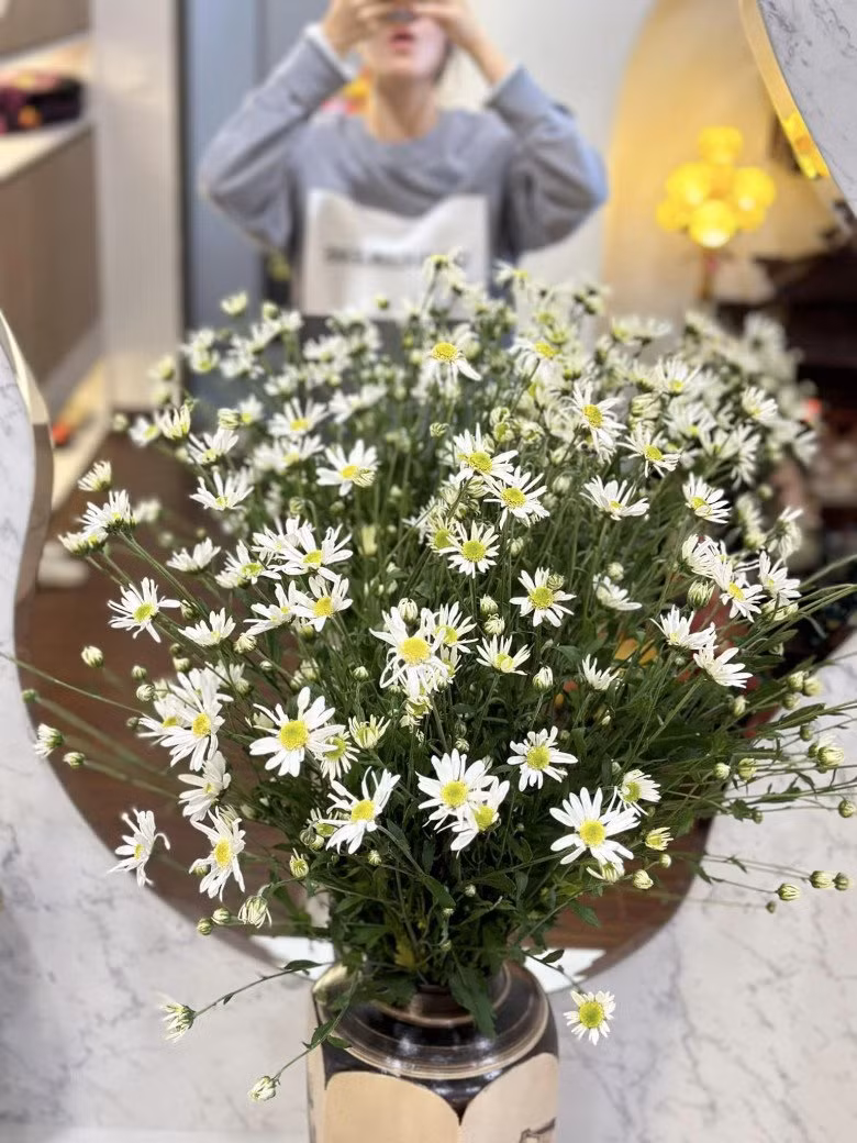 Kỳ Hân là người rất yêu hoa. Trước đó, Kỳ Hân chia sẻ không gian bên trong nhà được trang trí bằng cúc họa mi.