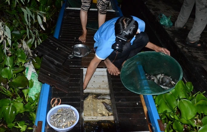 Chợ Tha La hoạt động suốt năm nhưng nhộn nhịp nhất là vào mùa nước nổi, bắt đầu tháng 7 âm lịch đến cuối tháng 10 âm lịch. Ảnh: Người lao động