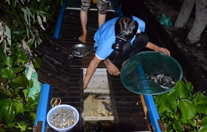 Chợ Tha La hoạt động suốt năm nhưng nhộn nhịp nhất là vào mùa nước nổi, bắt đầu tháng 7 âm lịch đến cuối tháng 10 âm lịch. Ảnh: Người lao động