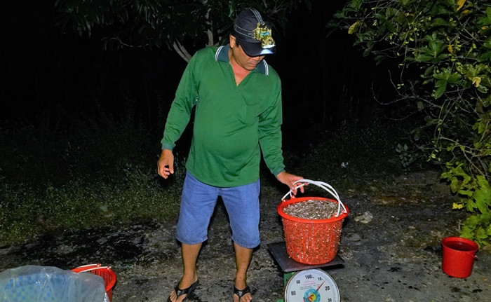 Dưới mé sông, khi ngư dân chạy xuồng chở cá đến, tiểu thương trên bờ đi xuống, tất bật lựa, cân, tính tiền... Ảnh: Dân trí