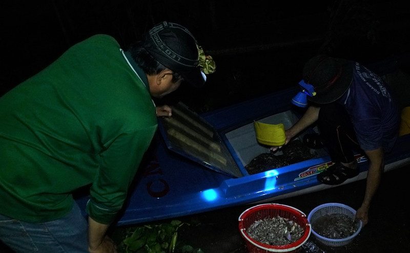 Co gi trong cho “am phu” doc nhat vo nhi o mien Tay?