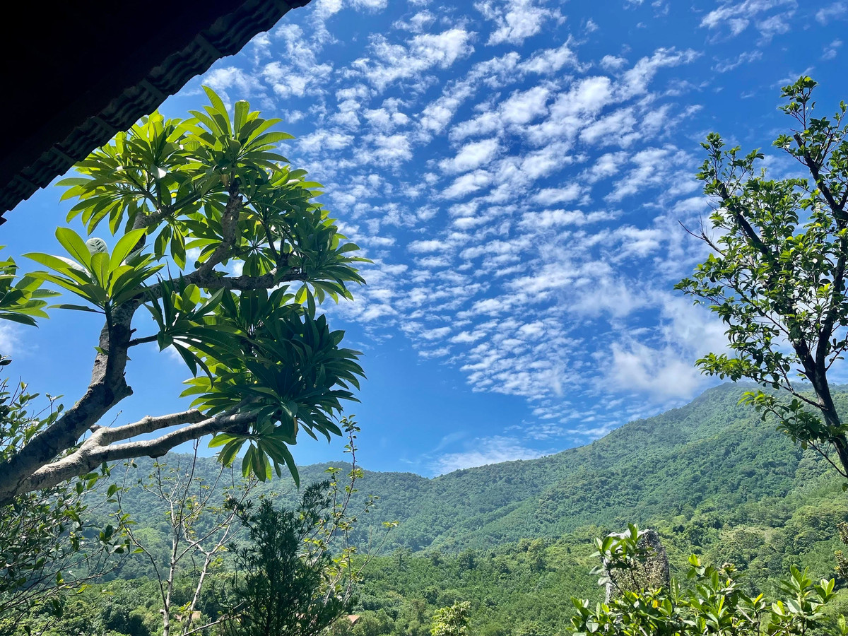 NSND Phạm Phương Thảo mua mảnh đất 8.000 m2 cách Hà Nội 35 km vài năm trước theo gợi ý của vợ chồng ca sĩ Việt Hoàn. Thời điểm đó, cô chưa biết sẽ làm gì với mảnh đất này nhưng khi COVID-19 ập đến, các sự kiện đều, Phương Thảo có nhiều thời gian để cuốc đất, trồng rau. Ảnh: Giadinhxahoi