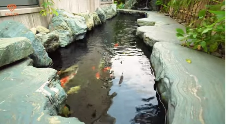 Bước qua cổng biệt thự, một bên là bể bơi lớn, một bên thiết kế hồ cá Koi đẹp mắt.