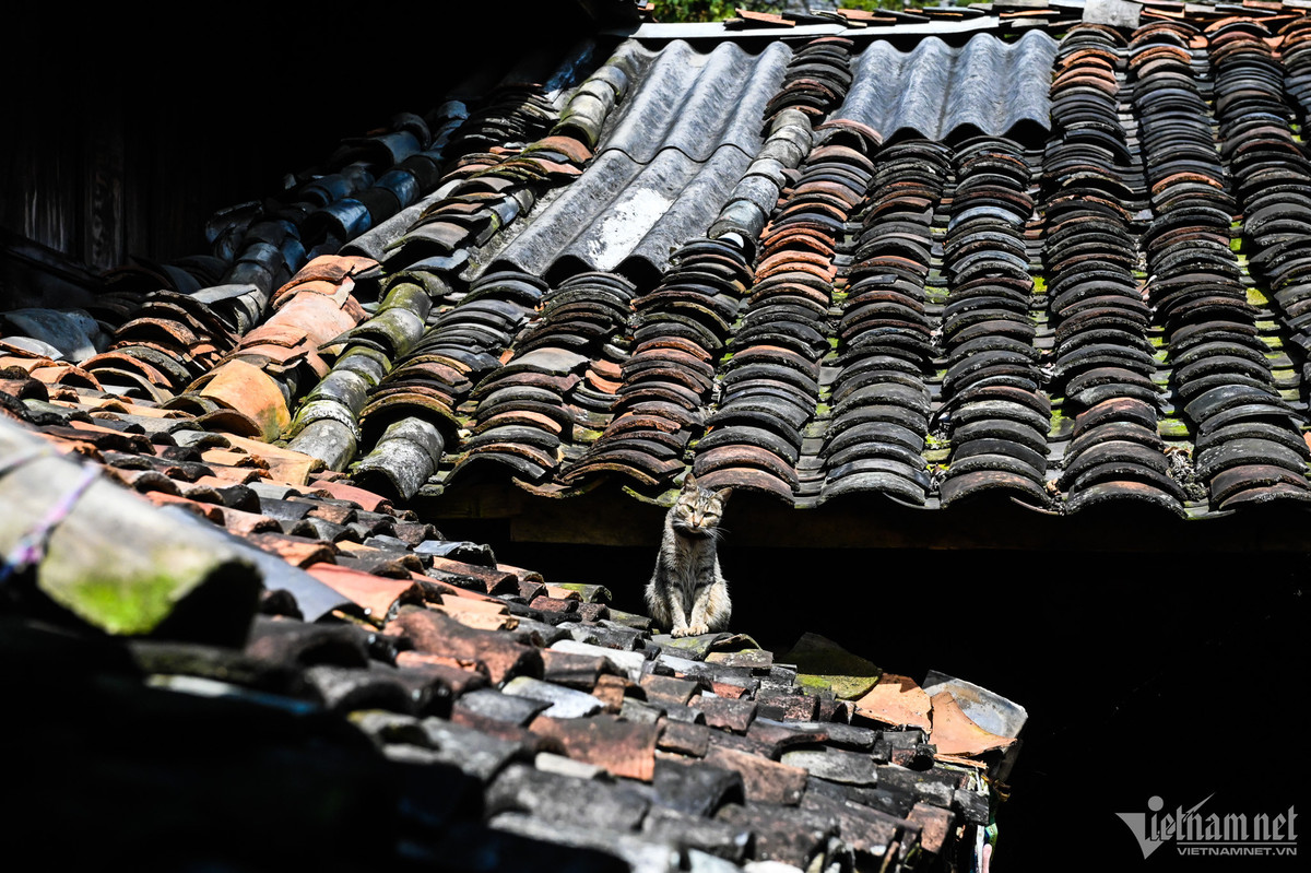 Mái nhà lợp ngói âm dương cổ kính. Ảnh: Vietnamnet