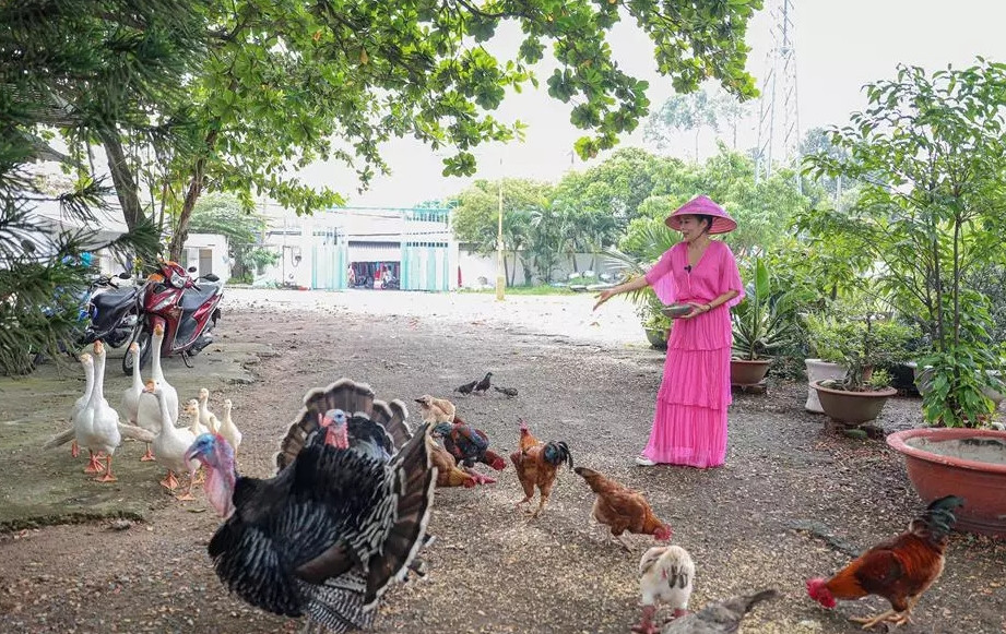 Trong vườn, Mỹ Lệ còn nuôi vài chục con gà đủ loại như gà tây, gà nôi, gà sao, gà ác, gà tre...Ảnh: Vietnamnet