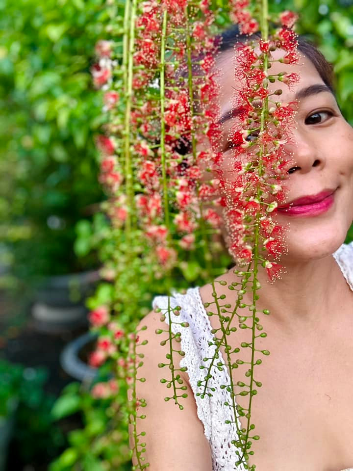 Ở tuổi 51, ngoài thời gian cho gia đình và công việc, ca sĩ Mỹ Lệ thích chăm mảnh vườn ươm rộng hơn 10.000m2 ở Tân Phú, TP HCM. Ảnh; FBNV