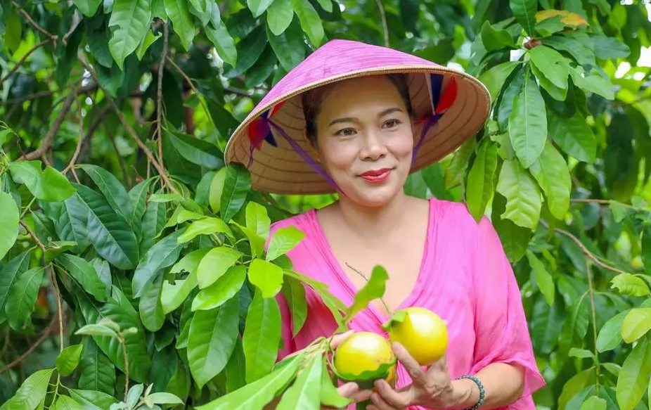 Mê nhất là vú sữa hoàng kim. Ảnh: Vietnamnet