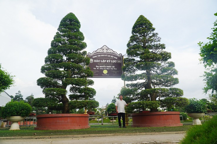 Ông Nguyễn Phước Lộc (53 tuổi, ngụ tại TP Sa Đéc, Đồng Tháp) được mọi người biết đến với cặp cây me kiểng cổ nhất Việt Nam. Ảnh: Nông thôn Việt