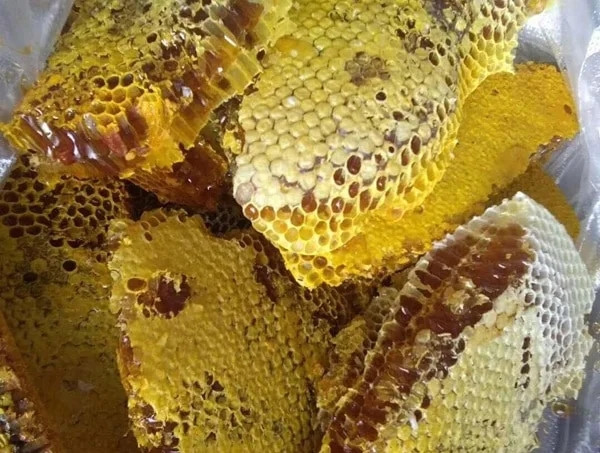 Do số lượng không nhiều nên mật ong khoái rất khó mua dù giá bán lên tới hơn 1 triệu đồng mỗi lít. Ảnh: Internet