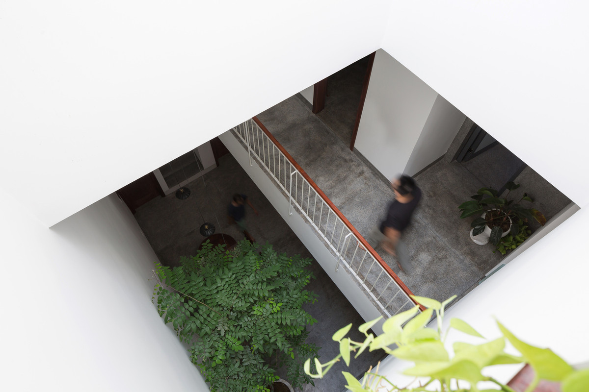 Tại khu vực giếng trời, gia chủ trồng cây xanh giúp thanh lọc không khí.