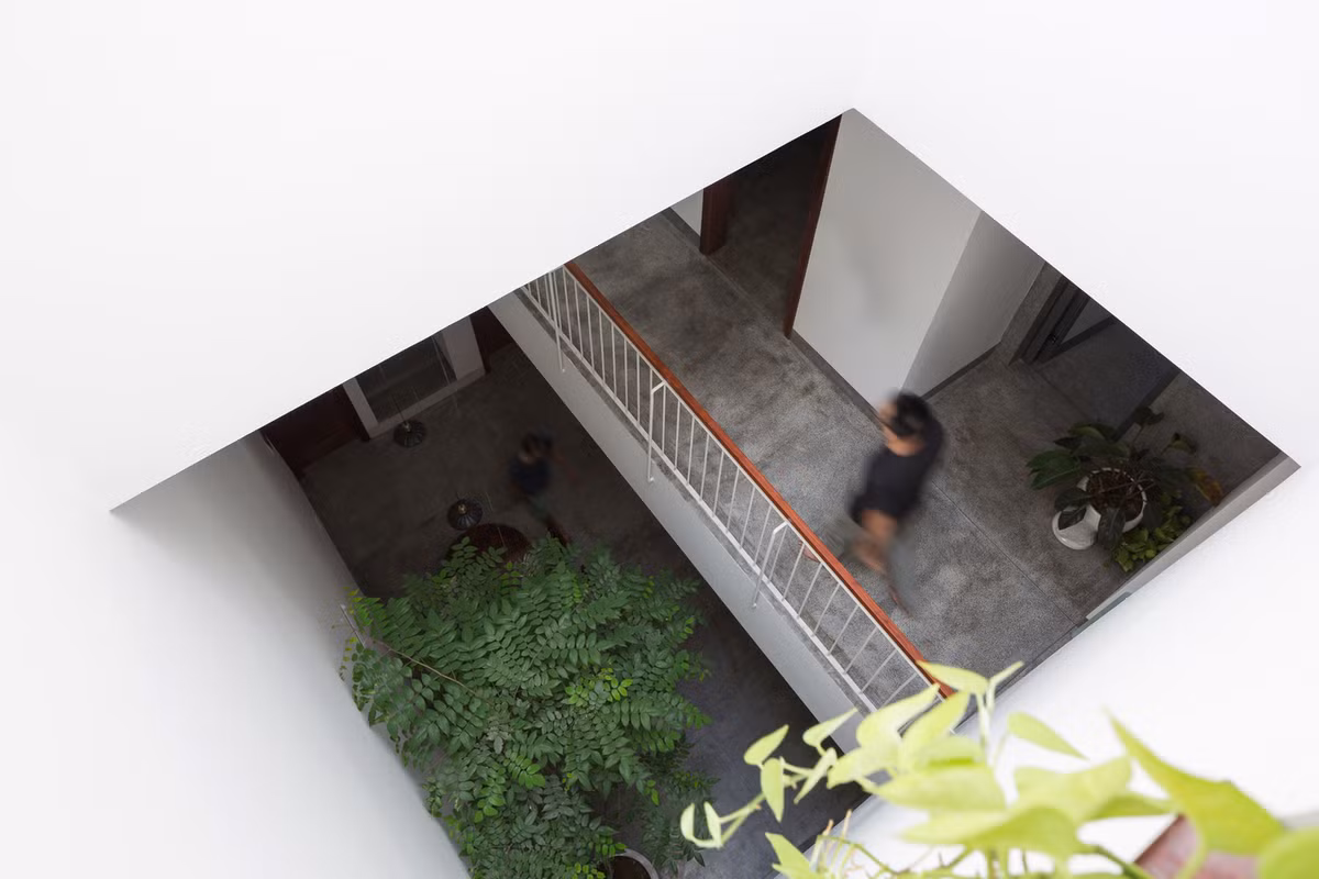 Tại khu vực giếng trời, gia chủ trồng cây xanh giúp thanh lọc không khí.