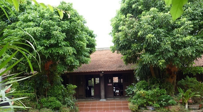 Quanh nhà đại tế có 3 cây nhãn cổ thụ hơn 100 năm quanh năm xanh tốt. Ảnh: Vietnamnet