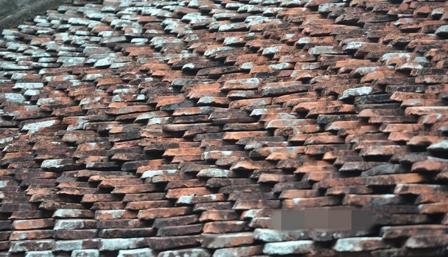 Ngói gian hậu cung là loại vảy cá đỏ đất nung. Ảnh: Dân Việt