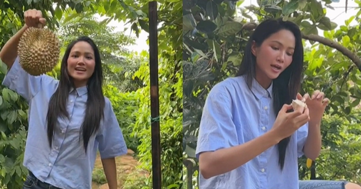 Trước đó, H'Hen Niê khoe thu hoạch trái sầu riêng trong vườn khiến nhiều người thích thú.