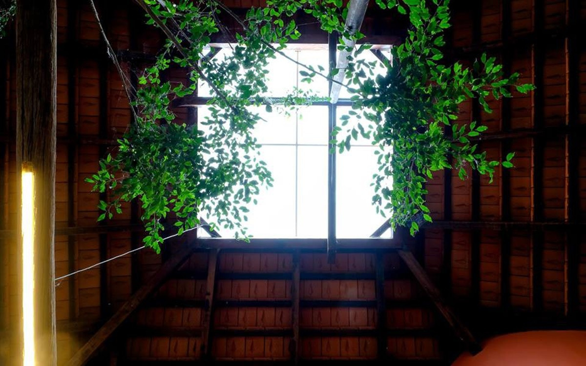 Giếng trời nhỏ giúp lấy ánh sáng cho toàn bộ không gian bên trong.