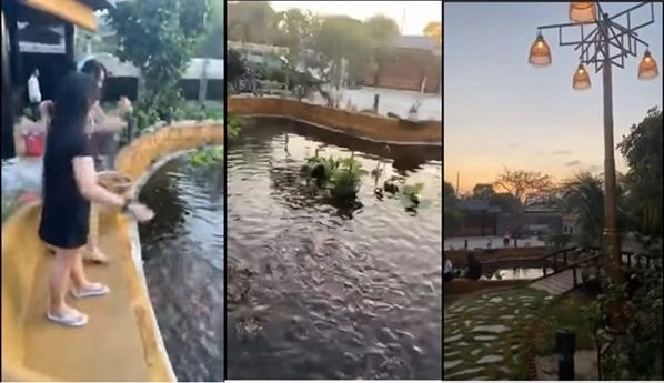 Do diện tích rộng lớn, nhà vườn ở Vũng Tàu còn có cả khu nuôi gà, vịt, trồng rau. Thậm chí vợ chồng Hồng Vân còn đào ao thả cá. Ảnh chụp màn hình