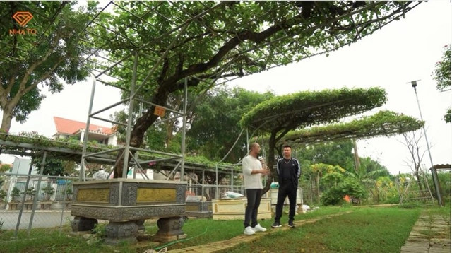 Thích gần gũi với thiên nhiên nên gia chủ thiết kế nhiều khoảng để trồng cây, trưng bày cây bonsai xung quanh nhà.