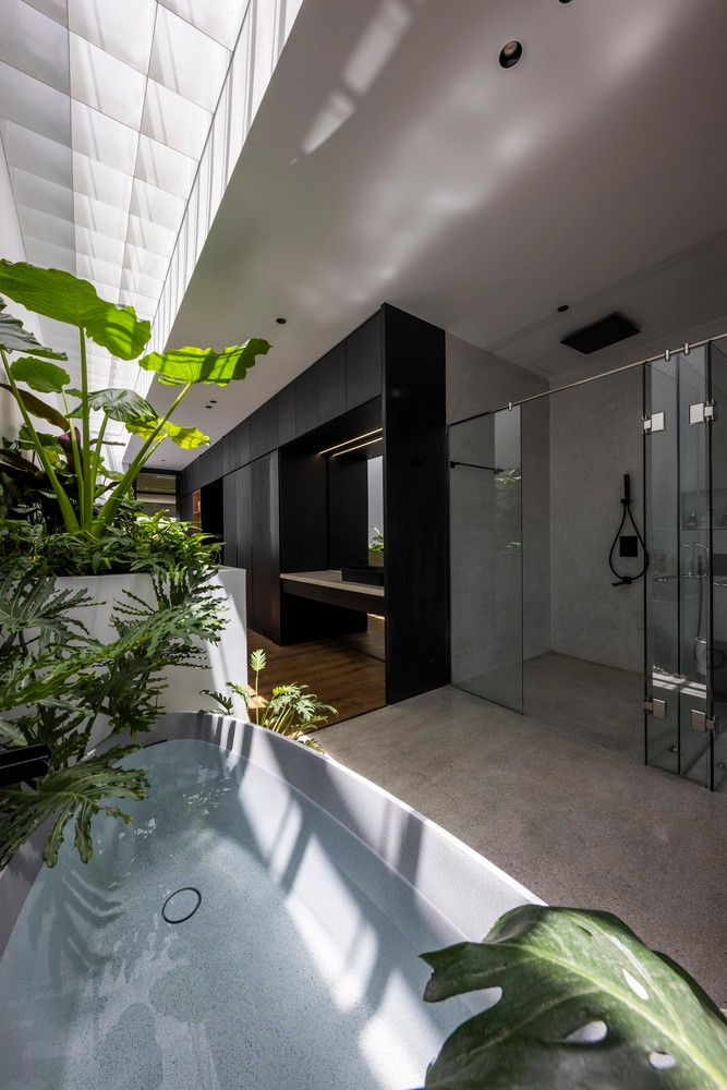 Ánh nắng len lỏi khắp không gian.