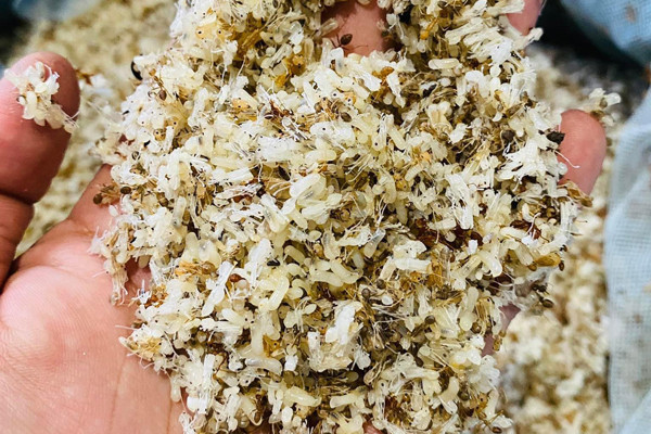 Loại trứng tý hon này dễ bảo quản. Nếu ăn ngay thì để trong ngăn mát. Nếu cấp đông có thể để được cả năm. Ảnh: Internet