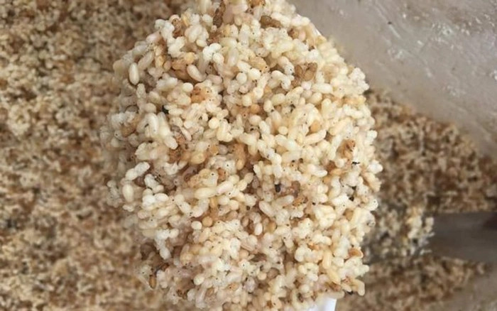 Trứng kiến gai đen được cho là cải thiện khả năng sinh lý, làm đẹp da, mượt tóc. Những quả trứng có màu tráng sữa, nhỏ xíu, vị béo, bùi, chua chua. Ảnh: Internet