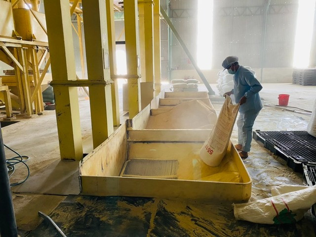 Bột sẽ được dùng trộn làm thức ăn cho heo, trong đó bột chuối chiếm khoảng 40%. Ảnh: HAGL