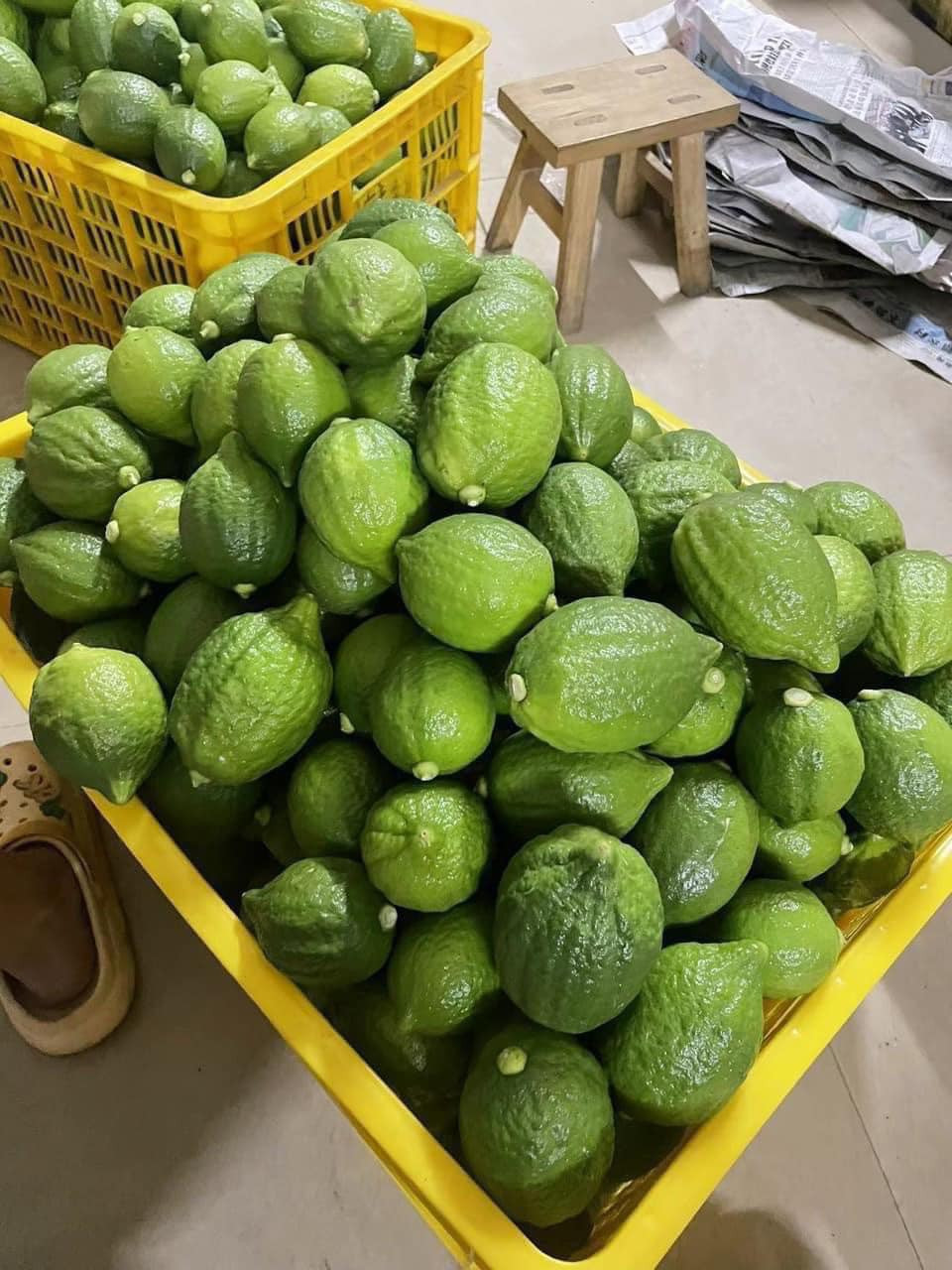 Thậm chí, có thời điểm khan hàng, chanh tươi Quảng Đông giá lên tới 80.000 - 90.000 đồng/kg. Ảnh: Facebook