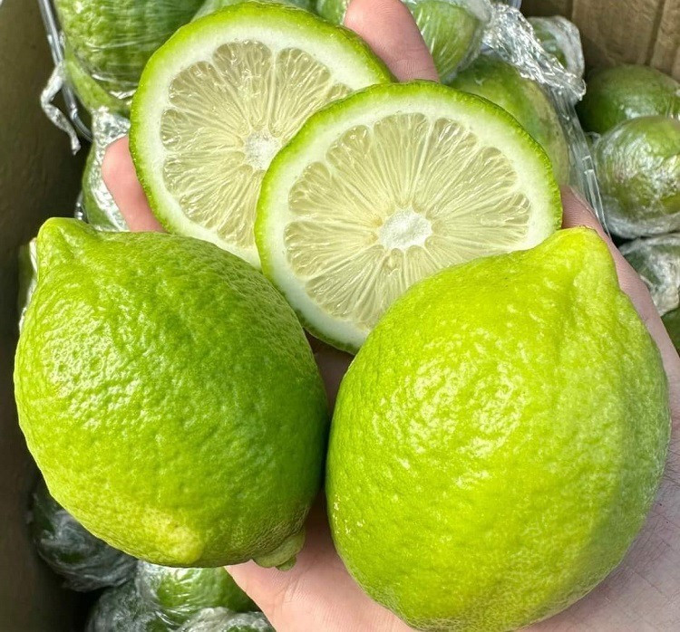 Từ cơn sốt trà chanh giã tay, chanh tươi Quảng Đông được các đầu mối săn lùng, hàng về bao nhiêu cũng được mua hết. Ảnh: Facebook