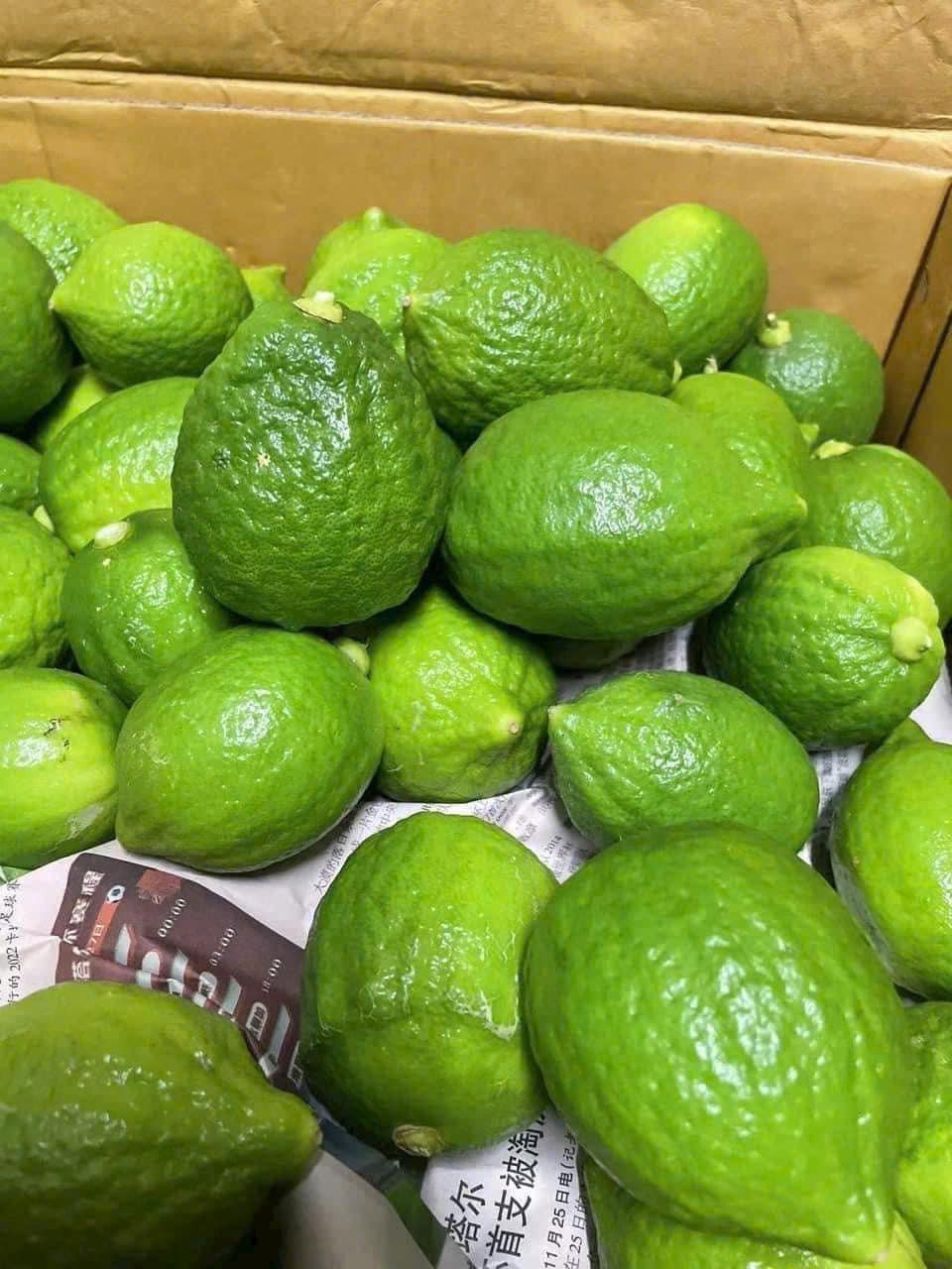 Từ giữa tháng 11, chanh tươi Quảng Đông trở thành mặt hàng được ưa chuộng tại Việt Nam. Nếu như chanh không hạt Việt Nam có giá bán lẻ chỉ 15.000-20.000 đồng/kg, thì chanh Quảng Đông giá 55.000-60.000 đồng/kg. Ảnh: Facebook