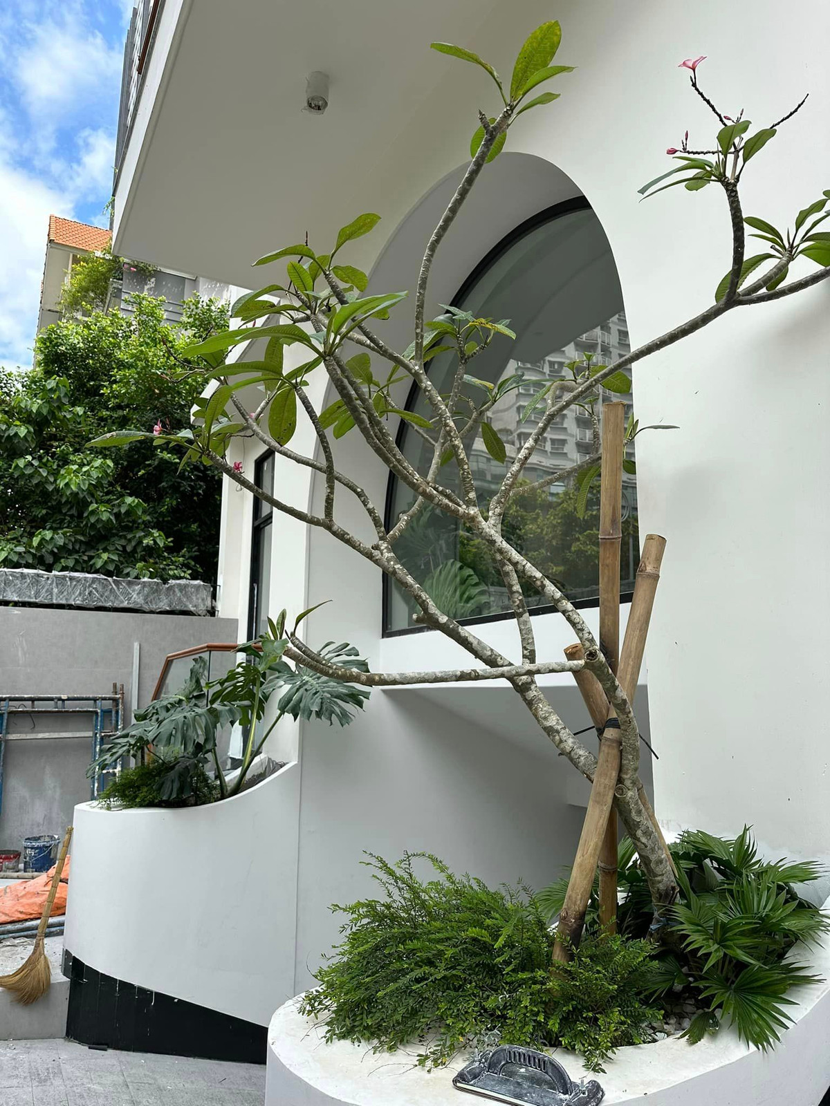 Dù đã đầu tư hệ thống tưới nước tự động nhưng Vân Trang vẫn làm các công đoạn thủ công vì muốn đảm bảo cây an toàn nhất.