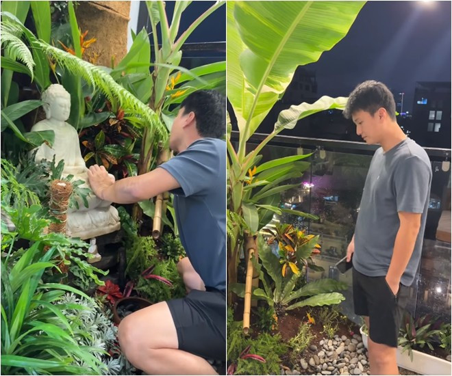 Huỳnh Anh cũng thường xuyên chăm sóc từng lá cây, ngọn cỏ.
