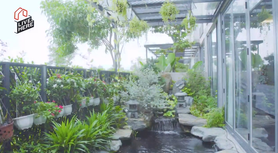 Phía sau nhà, bên hông và phía trước nhà được bố trí hệ thông sân vườn với nhiều cây xanh và hoa.