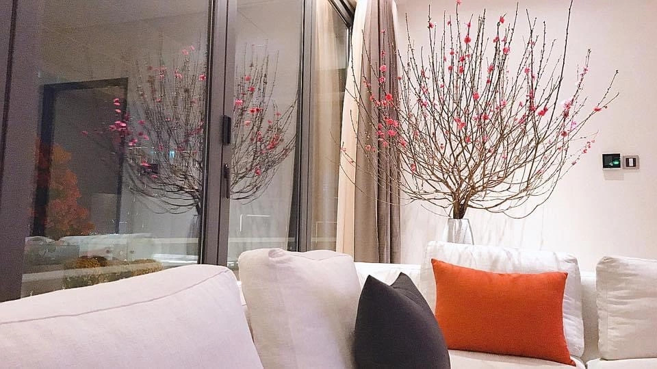 Bên trong biệt thự được thiết kế theo phong cách trẻ trung, hiện đại và không kém phần sang trọng. Ảnh: FBNV