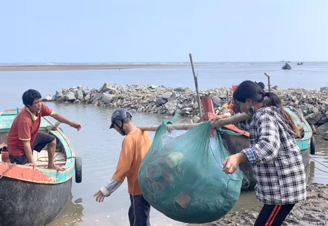 Vào mùa (từ tháng 11 đến đầu tháng 2 năm sau), ngư dân lại tấp nập ra khơi đánh bắt cá cháo. Ảnh: Baophunu