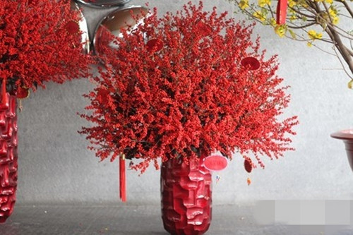 Theo đó, một số gia đình có điều kiện đặt những bình hoa 15-20 triệu đồng. Đáng chú ý, có khách ở Sài Gòn mua một cặp bình đông đào lên tới 160 triệu đồng. Ảnh: Infonet