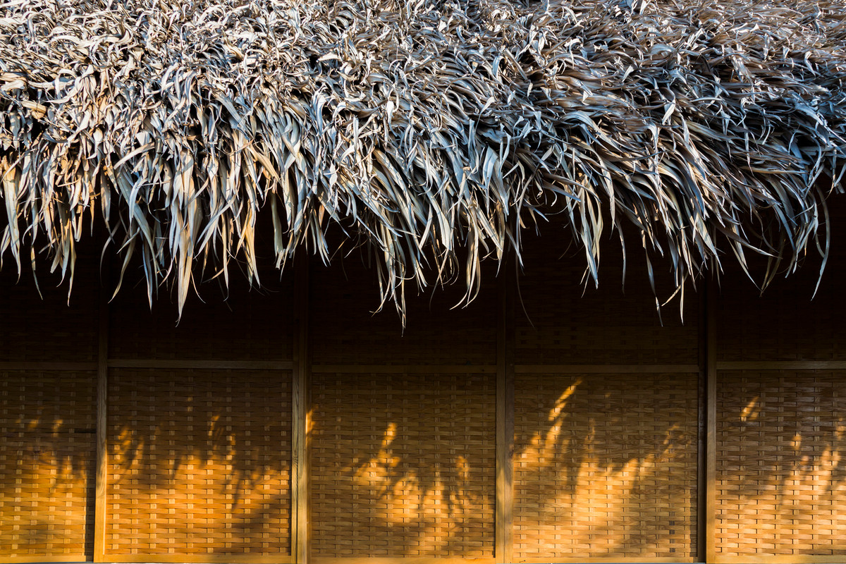 Điểm nhấn của ngôi nhà là việc sử dụng chất liệu thôn quê dân dã. Trong đó, mái lá cọ được sử dụng như một lớp cách nhiệt bên ngoài, gợi sự gần gũi với những ngôi nhà miền Tây.