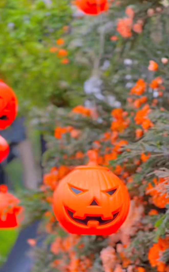 Những chiếc đèn lồng bí ngô treo dọc lối vào căn biệt thự.