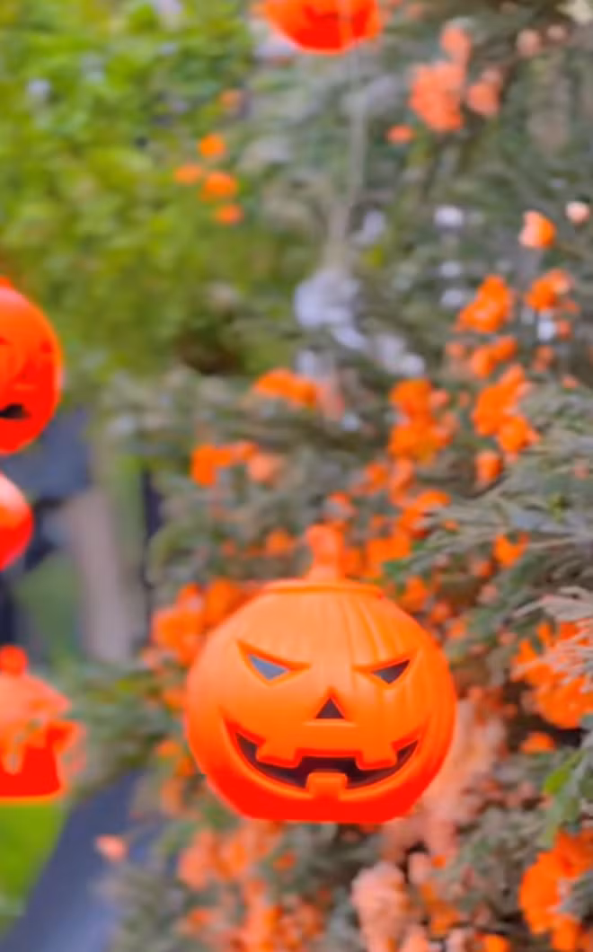 Những chiếc đèn lồng bí ngô treo dọc lối vào căn biệt thự.