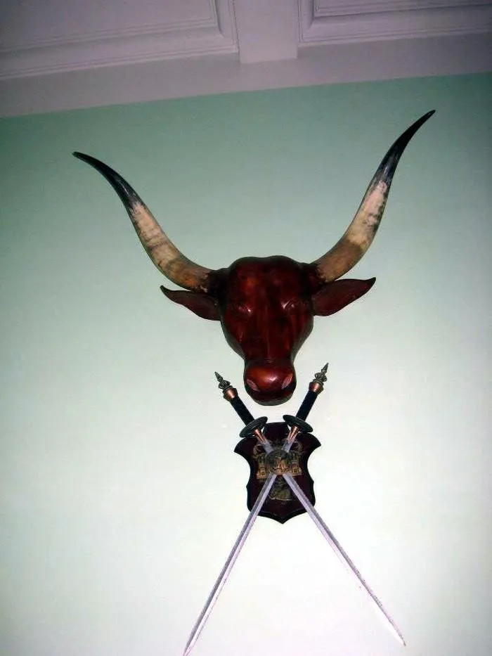 Trên tường nhà có treo đôi sừng bò. Ảnh: Internet