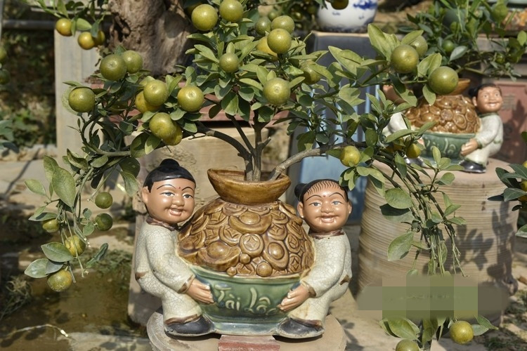 Quất tí hon trồng trong các bình gốm, sứ, gỗ... vừa mang nét hiện đại, vừa mang dáng dấp cổ cũng rất đắt khách. Ảnh: Báo Công thương