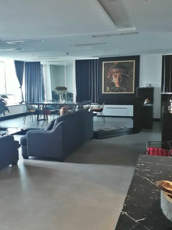 Với diện tích rộng rãi, Hoàng Thùy Linh thỏa sức decor, trang trí nhà cửa.